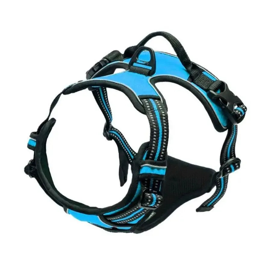 Bleu Couleur Harnais Gilet Pour Chien Avec Laisse – Ensemble Réglable