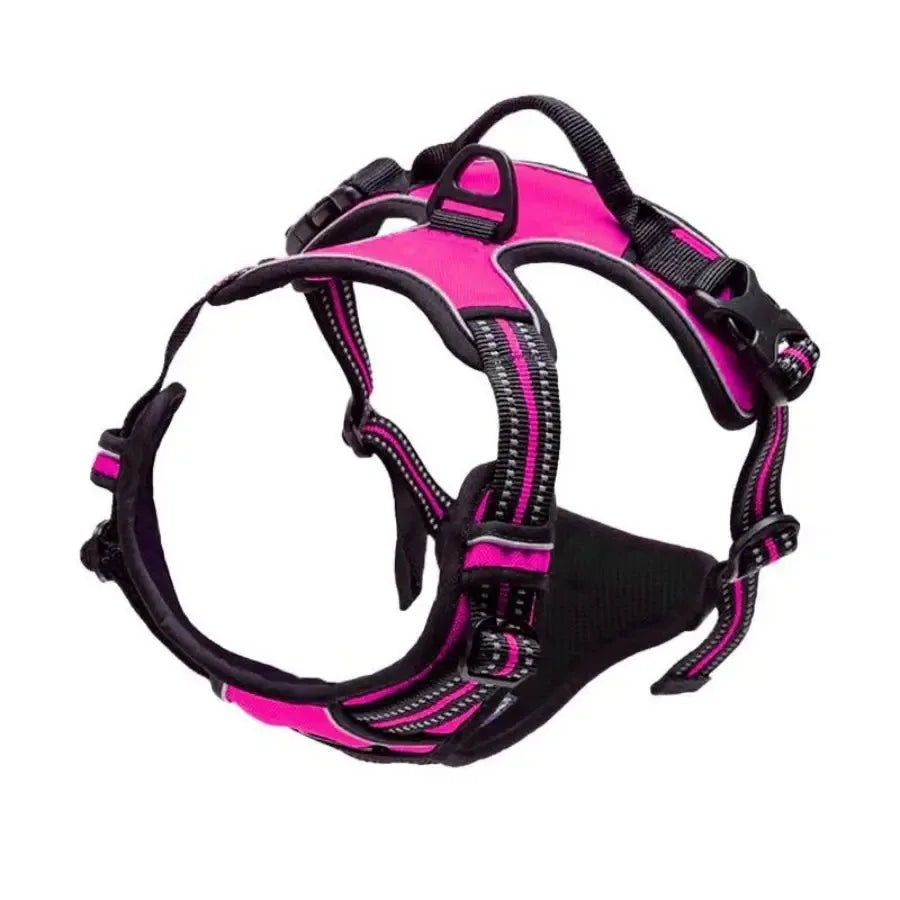 Rouge rosé Couleur Harnais Gilet Pour Chien Avec Laisse – Ensemble Réglable