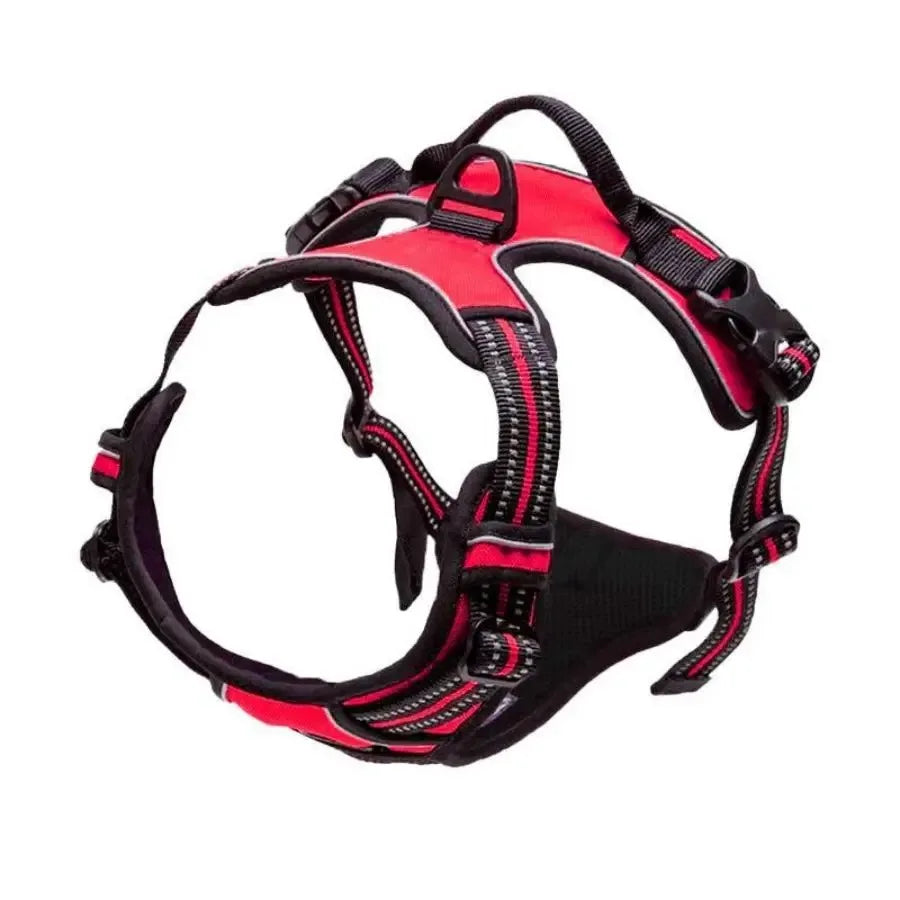 Rouge Couleur Harnais Gilet Pour Chien Avec Laisse – Ensemble Réglable