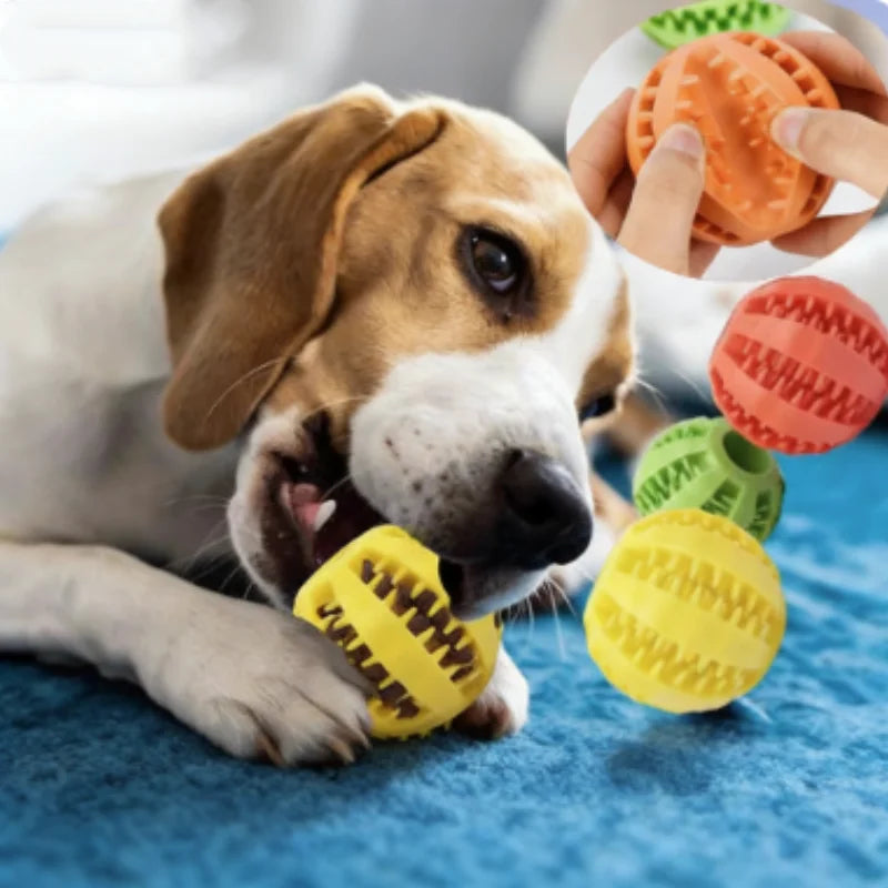 Balle Interactive En Caoutchouc Pour Chiens Et Chats – Soin Dentaire