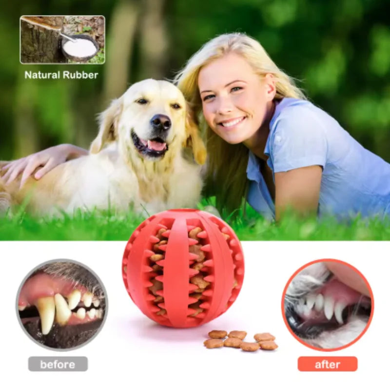 Balle Interactive En Caoutchouc Pour Chiens Et Chats – Soin Dentaire