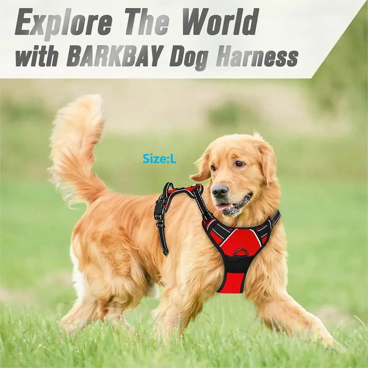 Harnais Gilet Pour Chien Avec Laisse – Ensemble Réglable