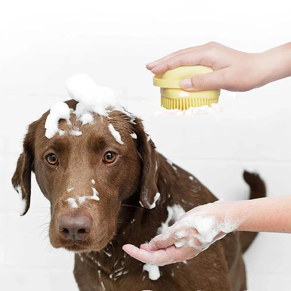 Brosse De Bain Pour Animaux En Silicone Avec Réservoir Mousse