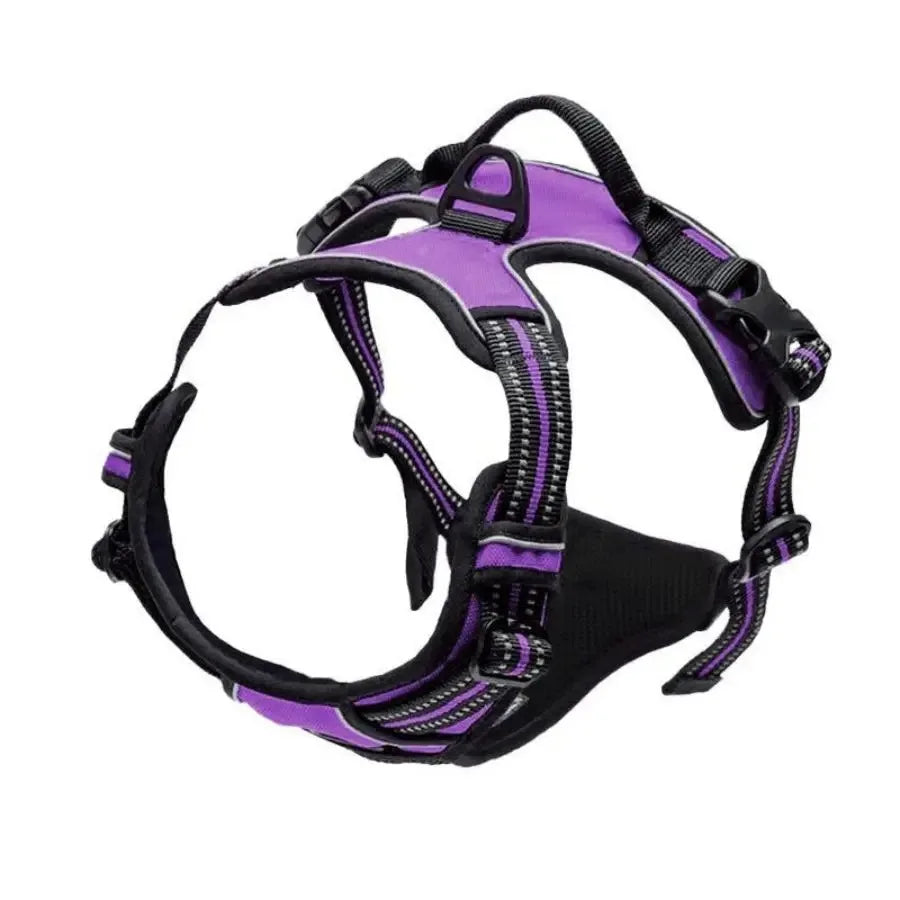 Violet Couleur Harnais Gilet Pour Chien Avec Laisse – Ensemble Réglable