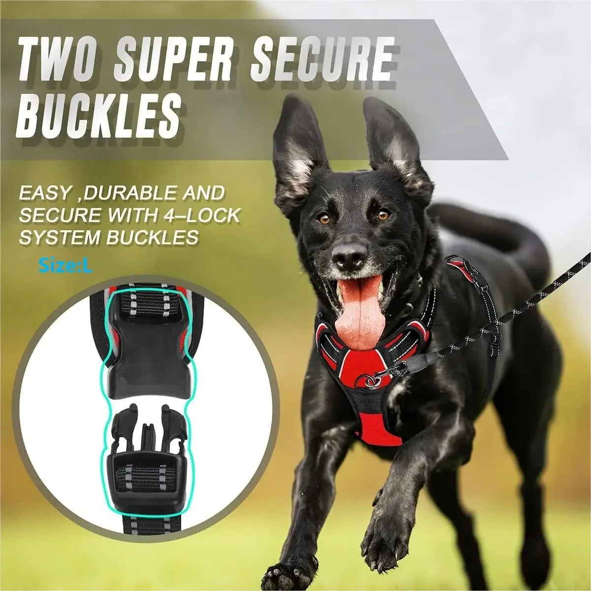 Harnais Gilet Pour Chien Avec Laisse – Ensemble Réglable