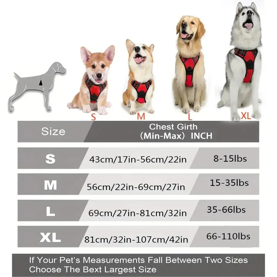 Harnais Gilet Pour Chien Avec Laisse – Ensemble Réglable
