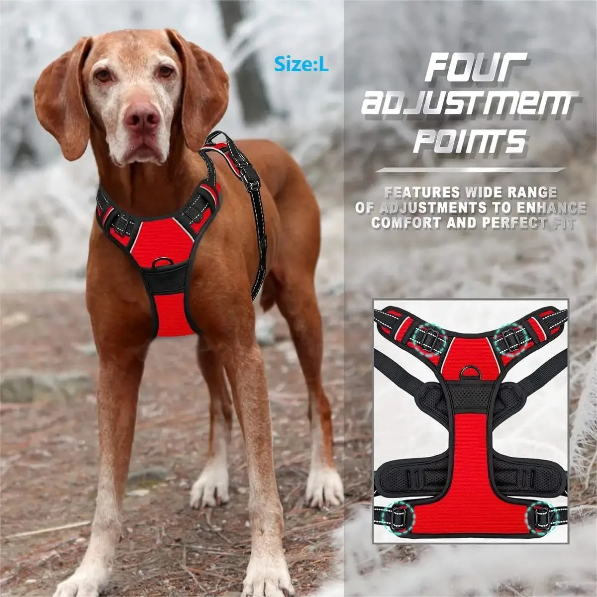 Harnais Gilet Pour Chien Avec Laisse – Ensemble Réglable