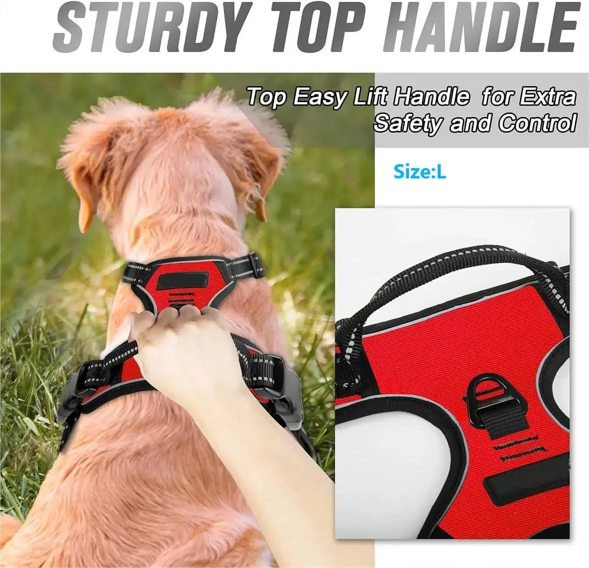 Harnais Gilet Pour Chien Avec Laisse – Ensemble Réglable